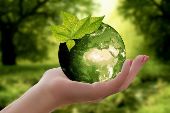 Sustainability and Opportunity